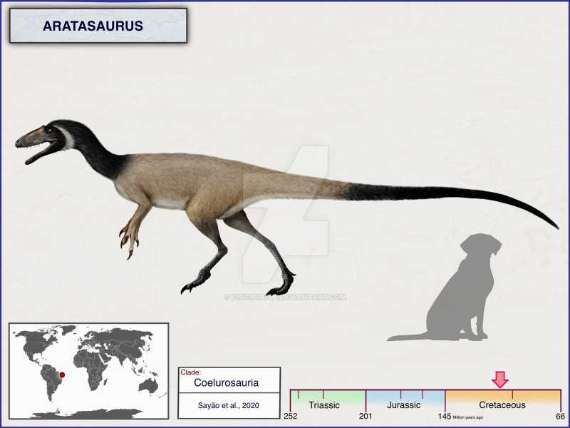 Целурозавры (Coelurosauria)