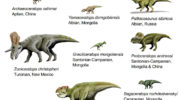 Цератопсиды (Ceratopsidae) — история, особенности и классификация