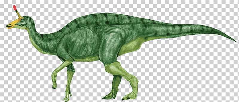 Цинтаозавр (Tsintaosaurus)