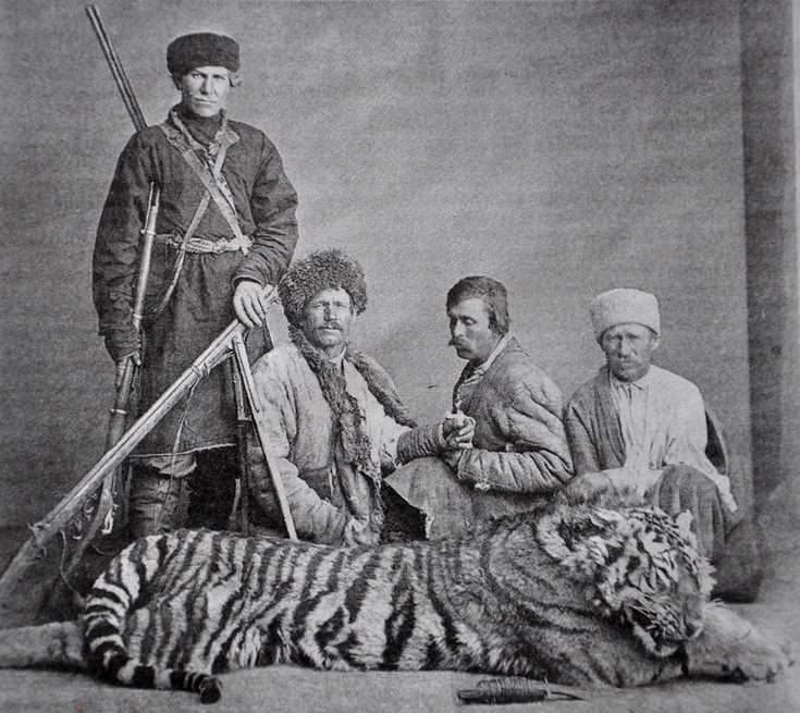 Туранский тигр, и закавказский тигр, или каспи́йский тигр