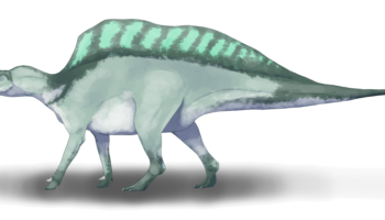 Уранозавр (Ouranosaurus nigeriensis) — описание, характеристики, исследования