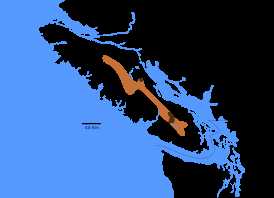 Ванкуверский сурок (Marmota vancouverensis)