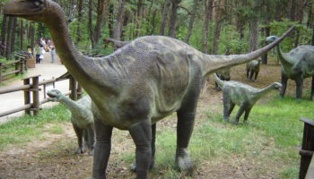Вулканодон — древнейший динозавр с массивным телосложением