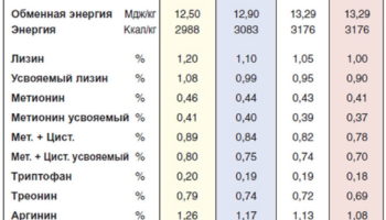 Выращивание и кормление бройлеров кобб 500