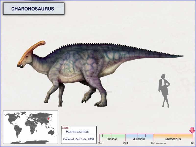 Сравнение с другими родами ламбеозавров
