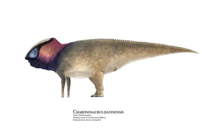 Харонозавр (Charonosaurus)