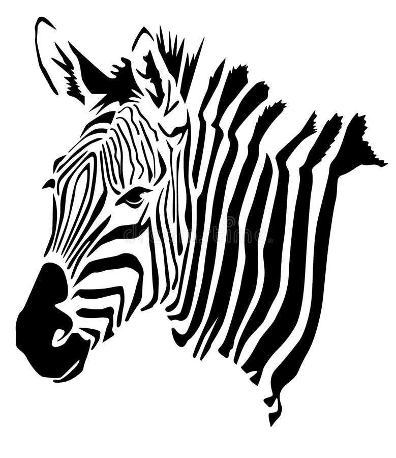 Связь между зебрами и другими животными