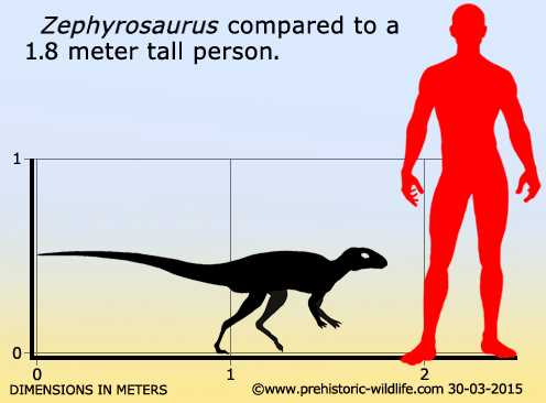 Зефирозавр (Zephyrosaurus): Описание