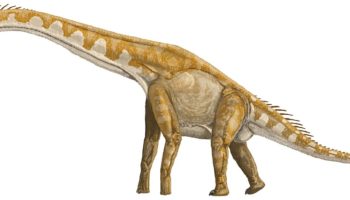 Жираффатитан (Giraffatitan)